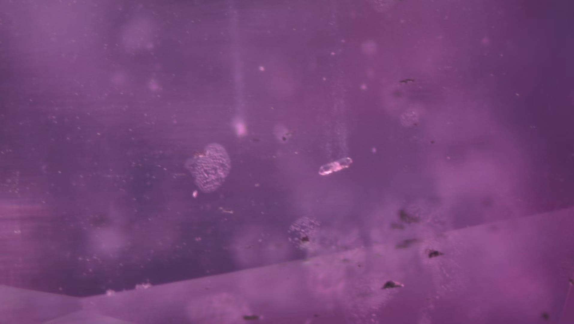 Kashmir (Pakistan)  purple pink sapphire