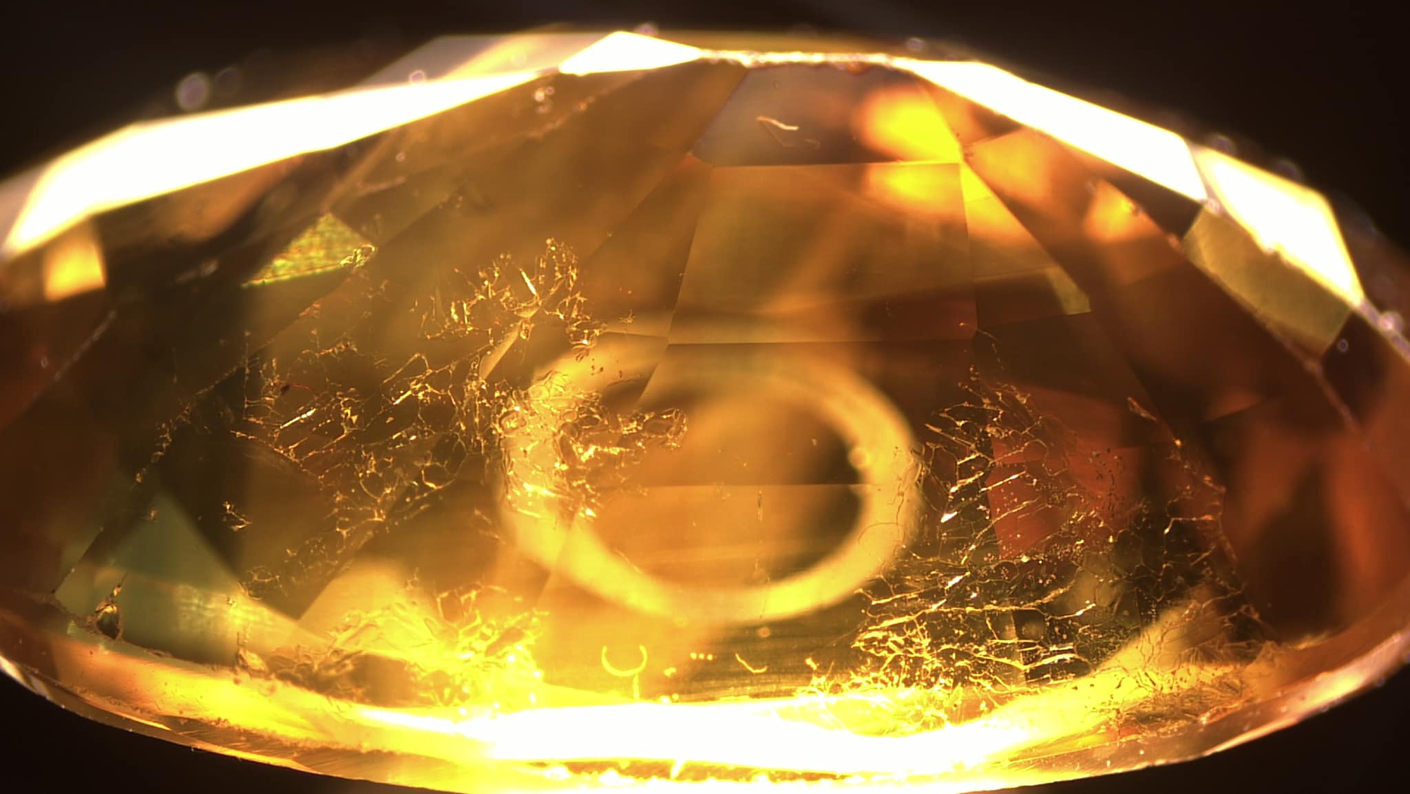 Showing results for recrystallization during cooling.