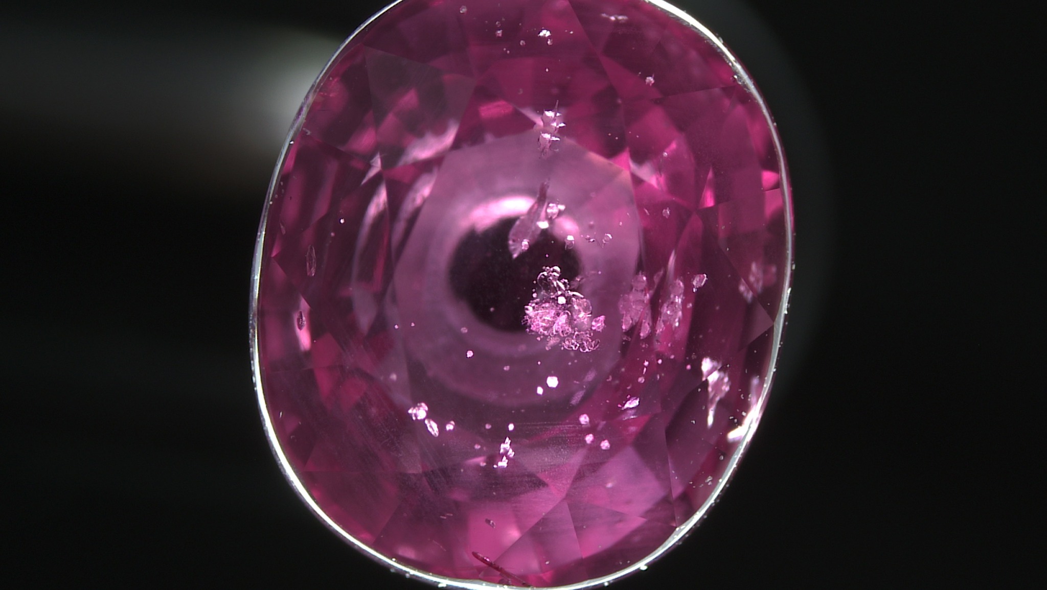 A group of small zircon crystals in an unheated purplish pink sapphire from Madagascar.
